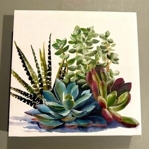 Succulent Canvas Art‎ Print With Texture 10x10 A13
